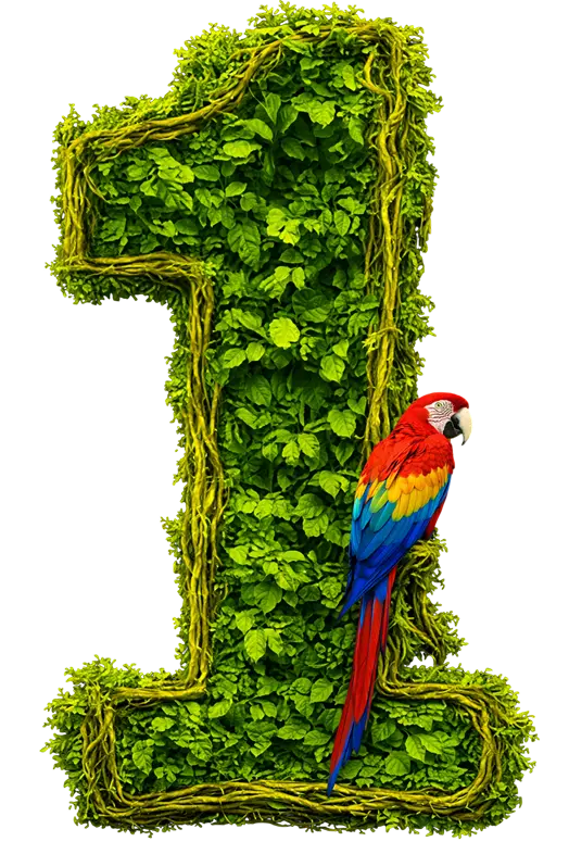 1 hour from Bangalore