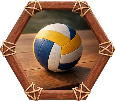 Volleyball